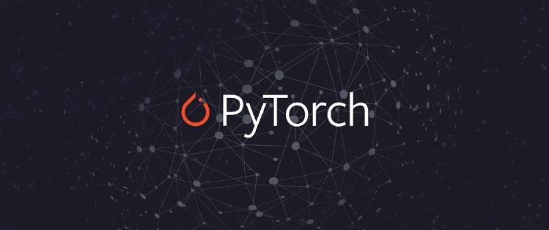 Featured image of post How To Write Custom PyTorch Datasets